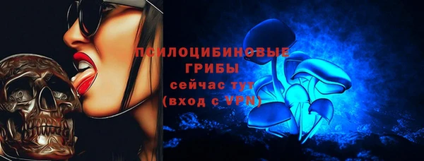прущие грибы Нея