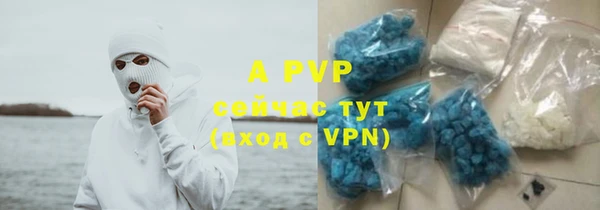 прущие грибы Нея