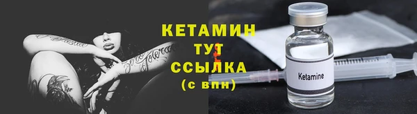 прущие грибы Нея