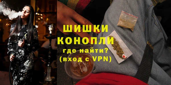 прущие грибы Нея