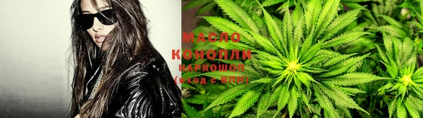 прущие грибы Нея