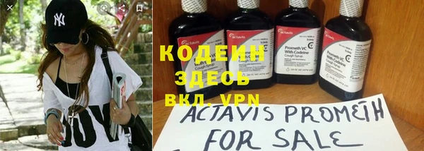 прущие грибы Нея