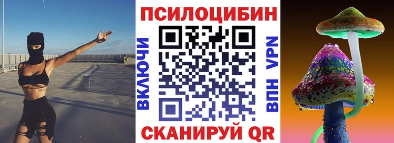 как найти наркотики  Ленинградская  Псилоцибиновые грибы Psilocybe 